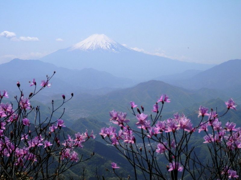 三ツ森北峰 -- これをヒカゲツツジで撮りたかった