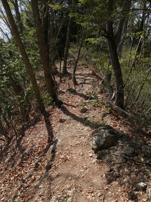 ここで、転倒した