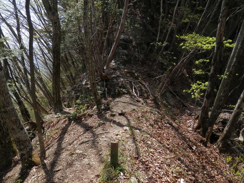 左に巻き道がある