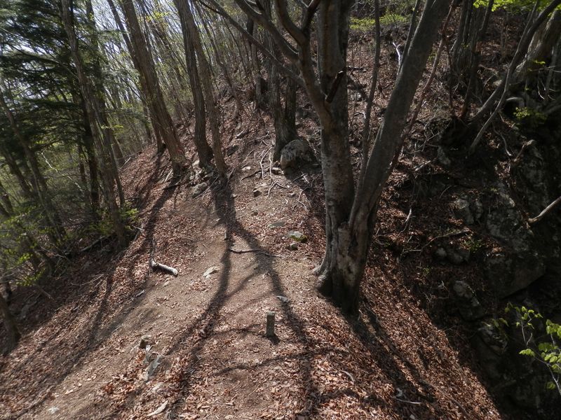 再び左の巻き道に進む