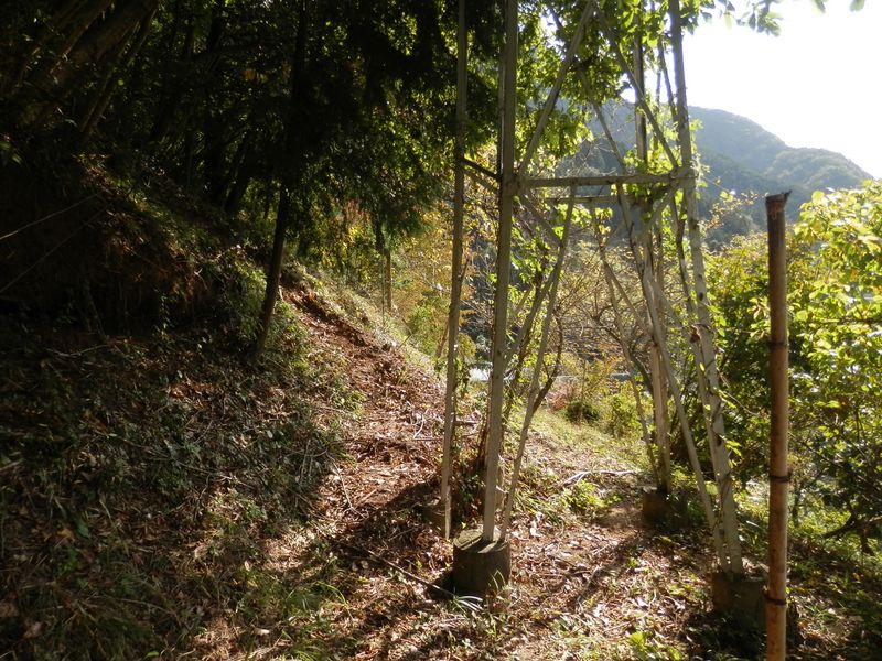 権現山登山道取り付き