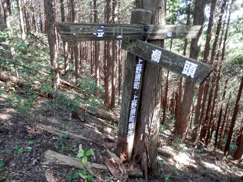 ゴウド山の老朽化した道標