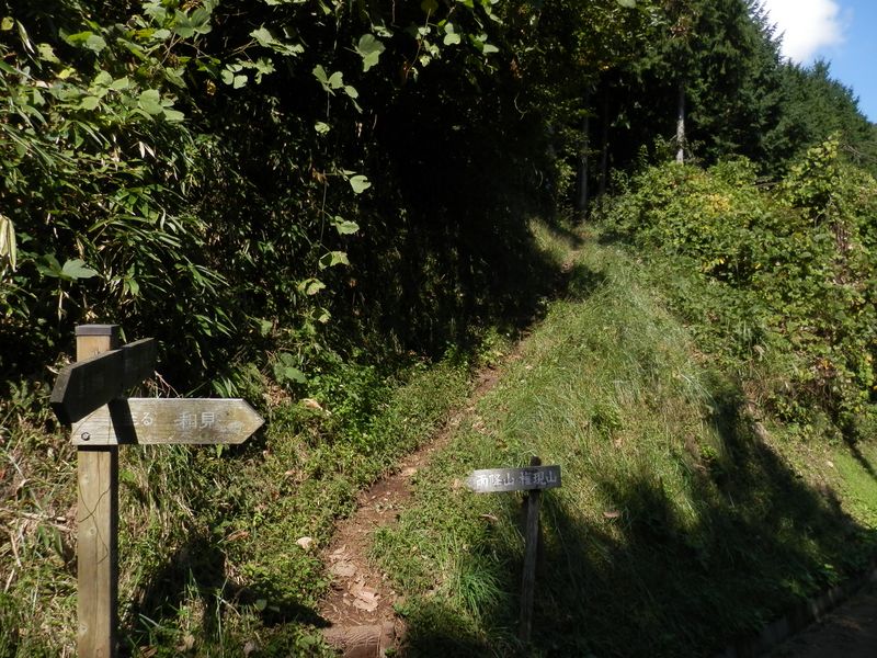 林道を横断して、権現山に向かう