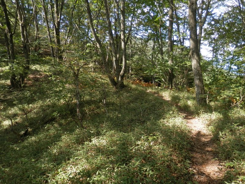 権現山 -- 気持ちの良い稜線の道