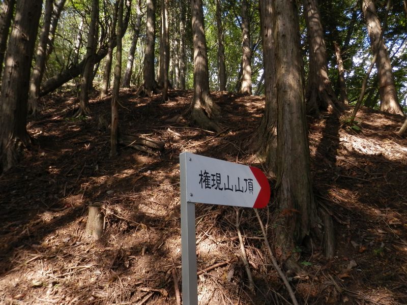 権現山 -- 山頂まであと5分