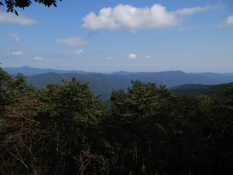 山頂より、馬頭刈尾根、浅間尾根、笹尾根を望む