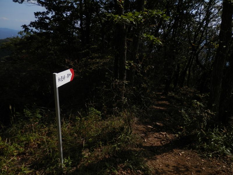 権現山 -- 山頂を後に、用竹に向かう