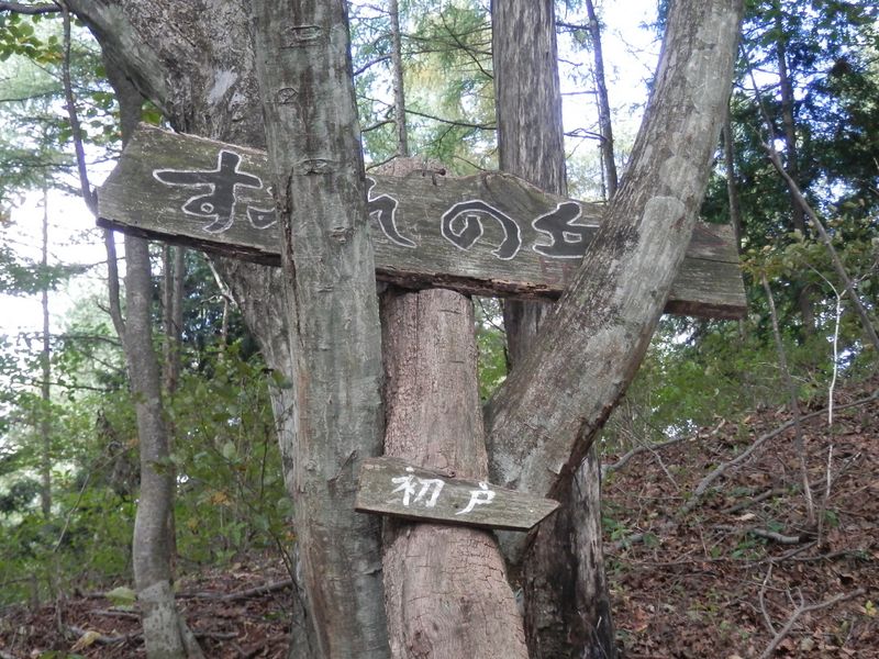 権現山 -- かなり古そうな道標