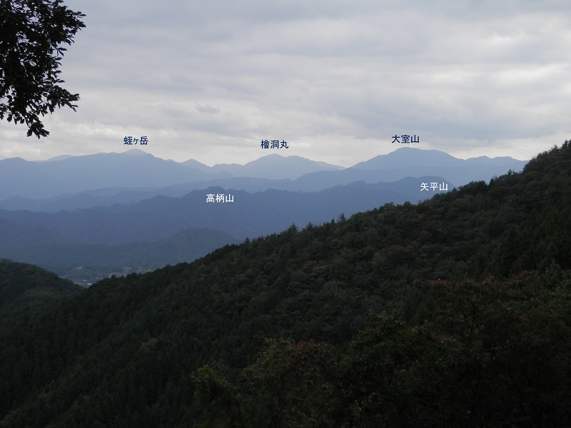 丹沢の山々を望む