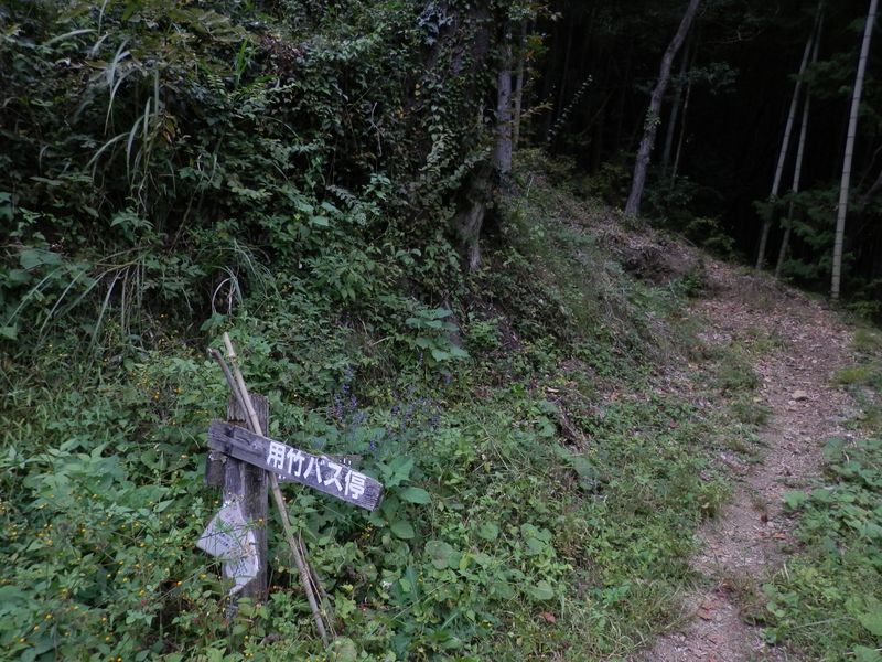 権現山 -- 登山道終点