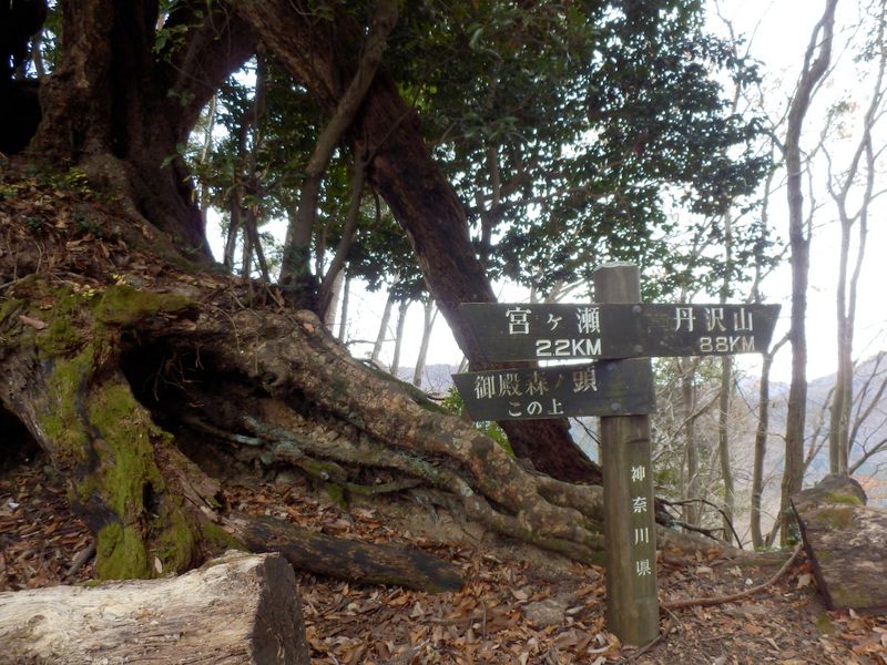 「御殿森ノ頭この上」