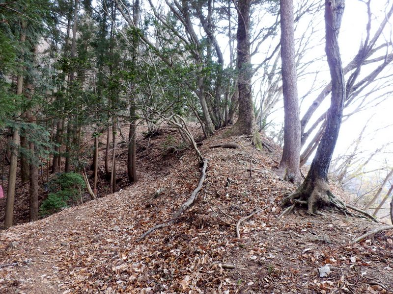 正面の尾根へ