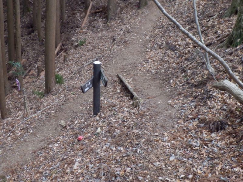 再び一般登山道に合流
