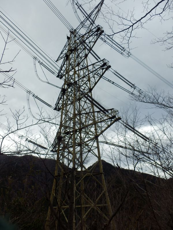 新多摩線29号鉄塔