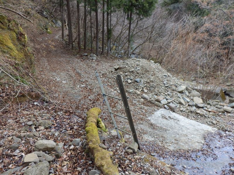 金沢林道に下りる