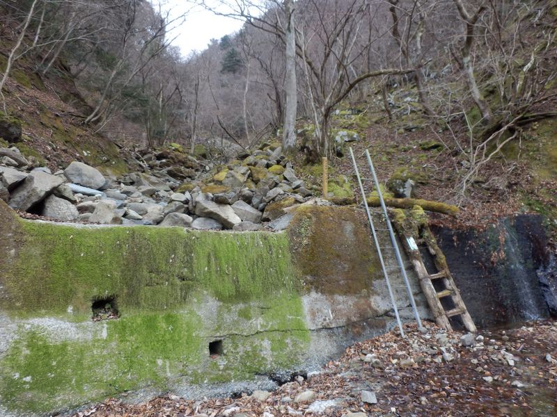 下りて来た沢