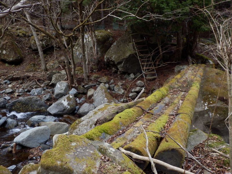 金沢に架かる丸木橋 border=