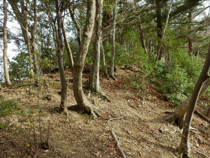 ときどき、10〜20秒ほど日が差す