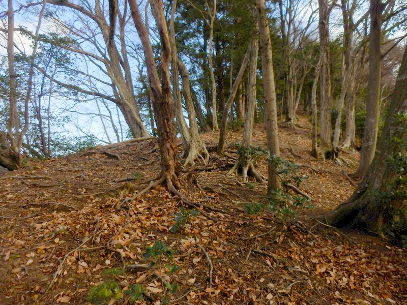 美しい尾根と美しい空