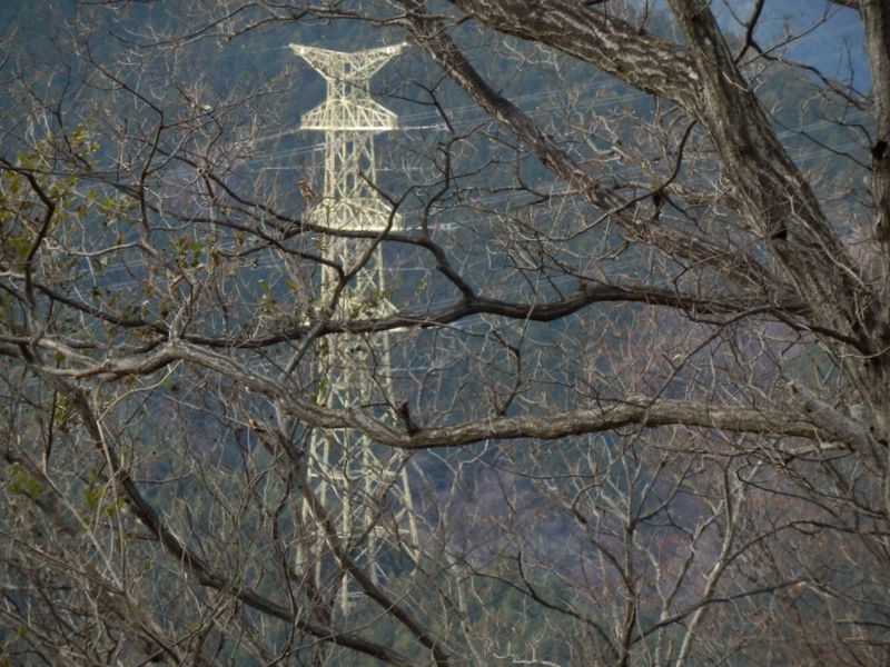 鉄塔31号にズームイン