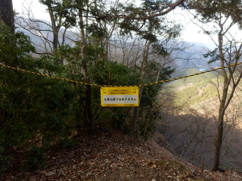 こちら側が表だった