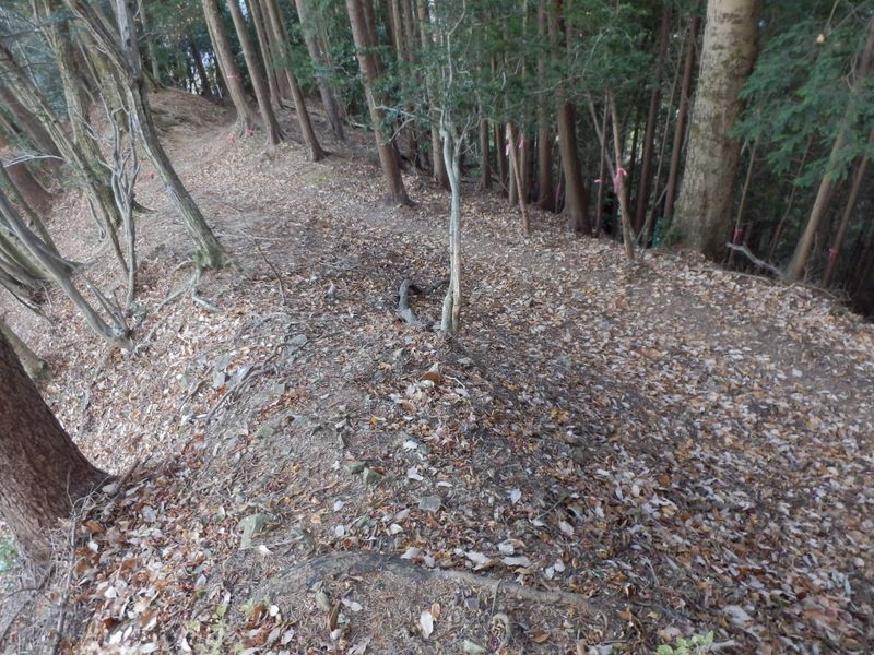 一般登山道に下りる