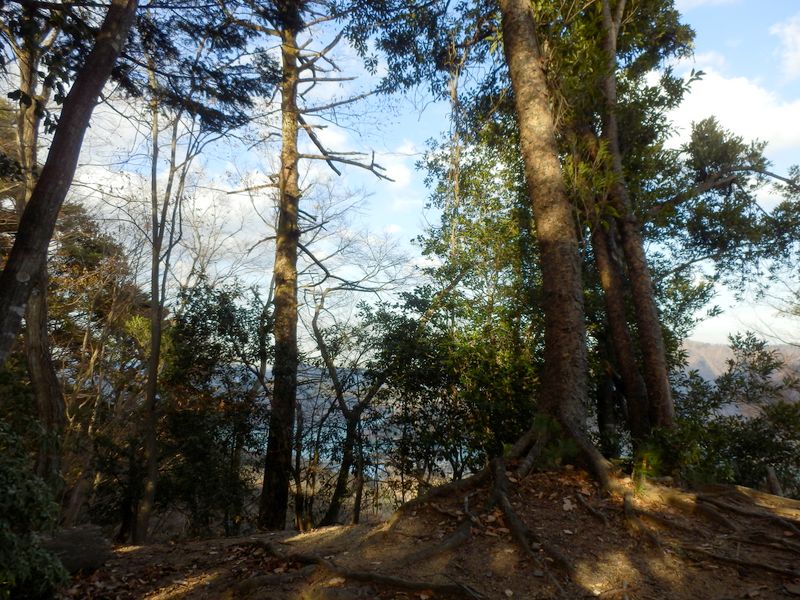 御殿森東ノ頭に再登頂