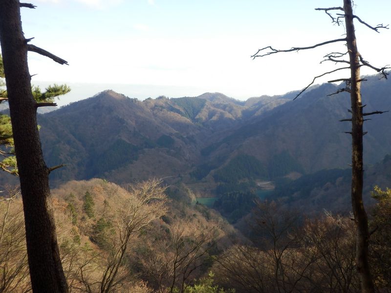 宮ヶ瀬尾根とハタチガ沢