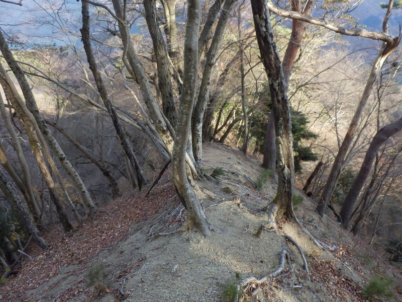 またまた狭い尾根
