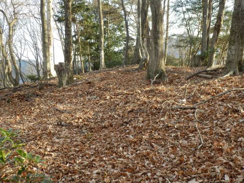 小さな盛り上がり