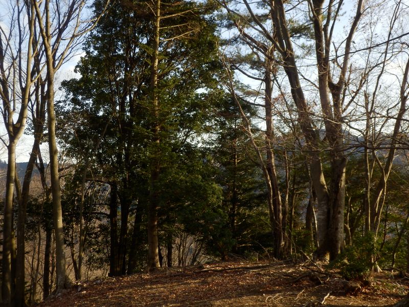 盛り上がりの先を下る