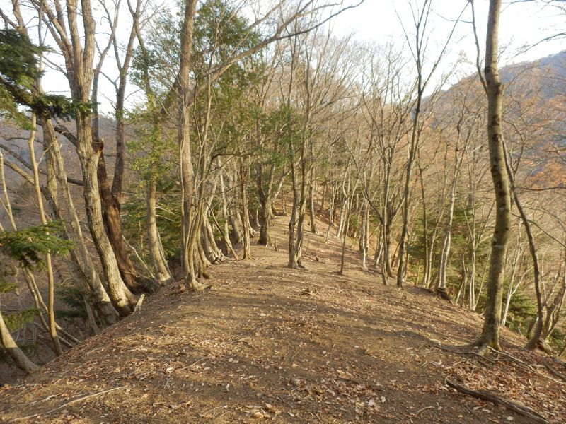 気持ちいい尾根歩き