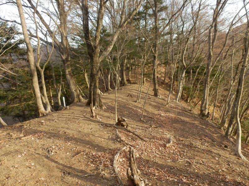 気持ちいい尾根