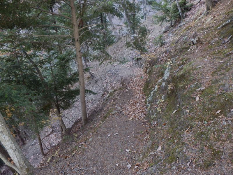 右手のザレ道を偵察