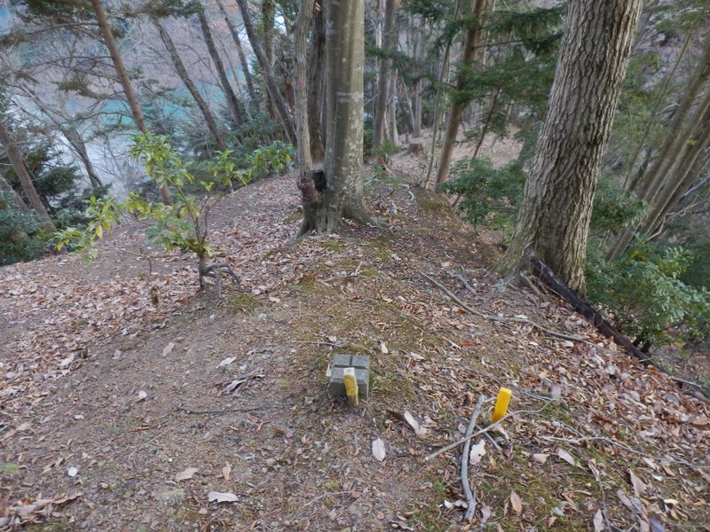 引き続き尾根を下る