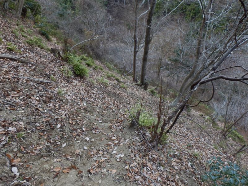 大門沢への下り道は廃道同然