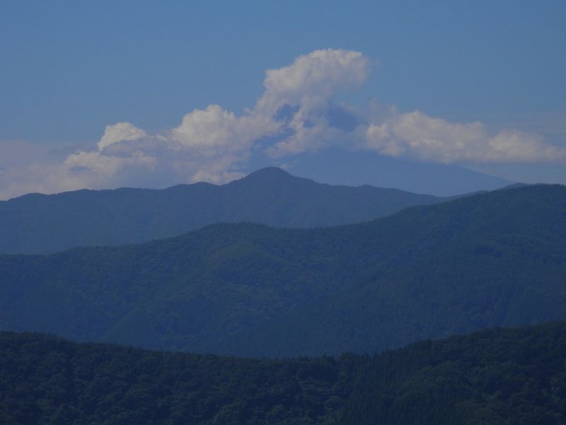 御前山 -- 林間から富士山を望む