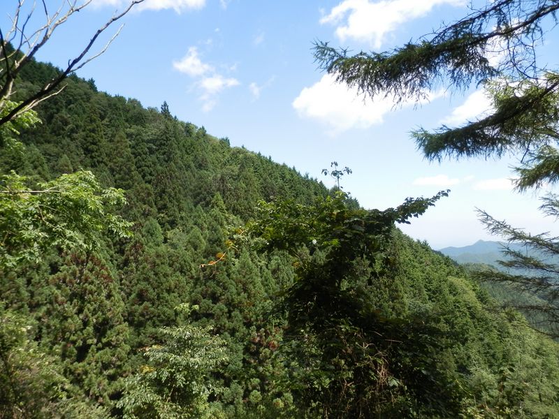 御前山 -- 右から尾根が近づいてきた
