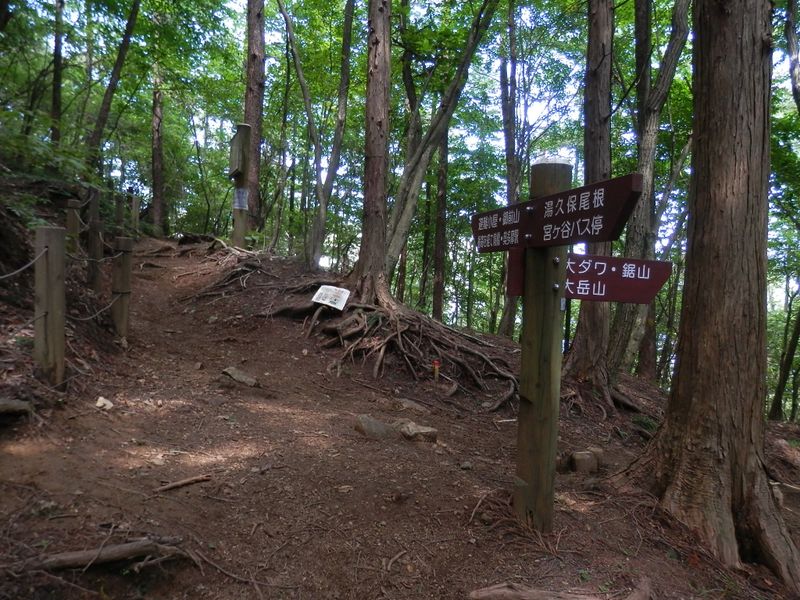 御前山 -- 縦走路に入る