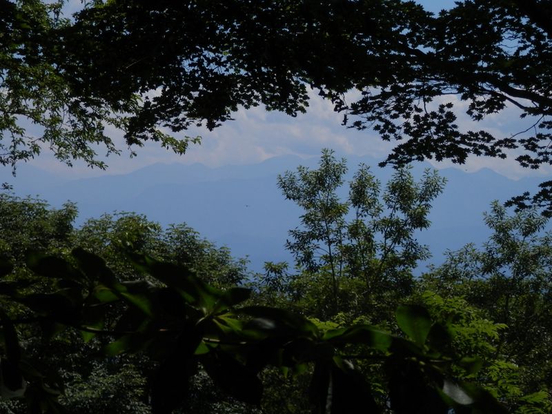 御前山より南方を望む