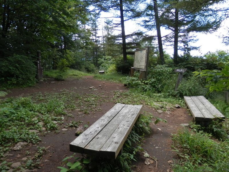 御前山山頂を後に、下山開始