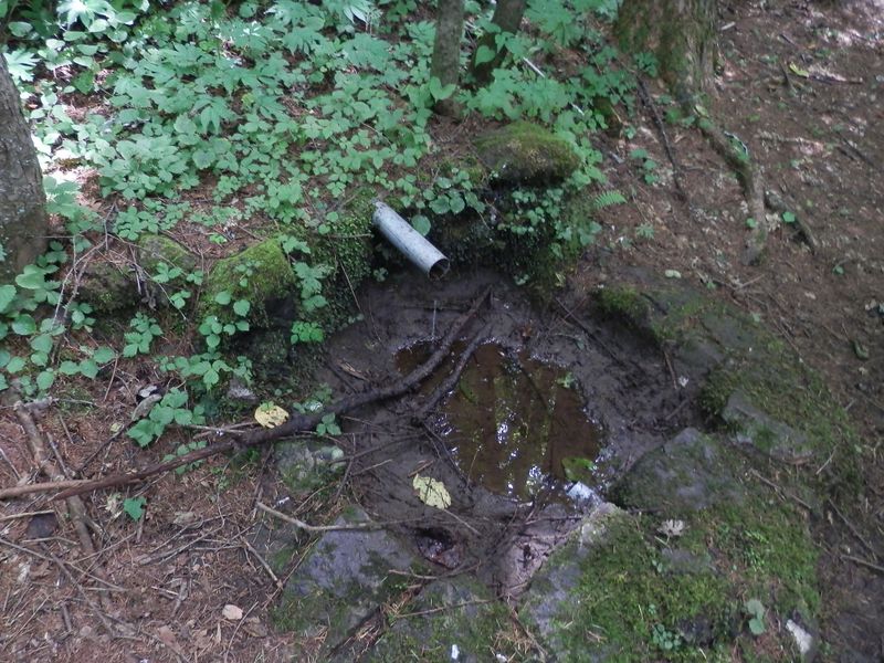 御前山 -- 湧水の広場の水場