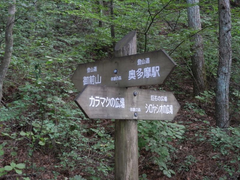 御前山 -- 体験の森