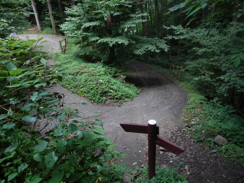 御前山 -- 細い登山道に進む