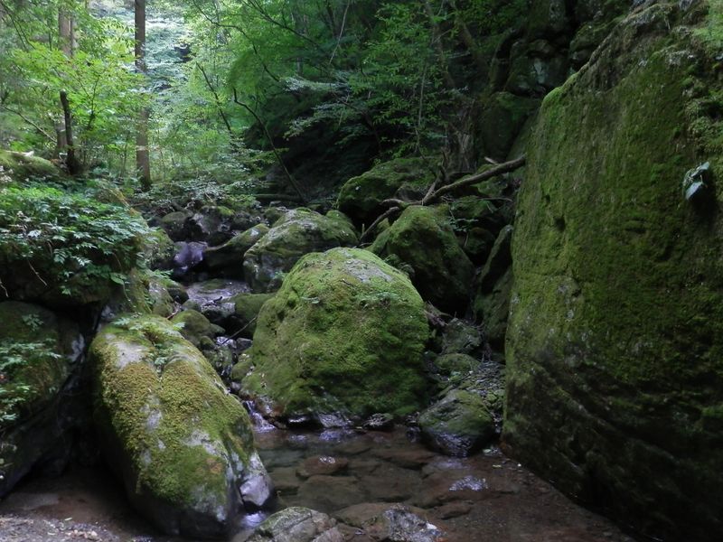御前山 -- 苔生した大岩がゴロゴロ