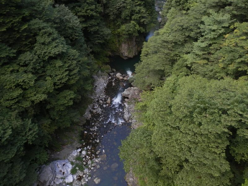 御前山 -- 境橋の上から多摩川を望む