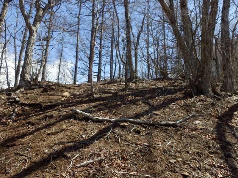 東西方向の尾根に乗る