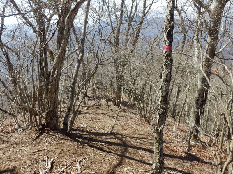展望の岩頭に往復する
