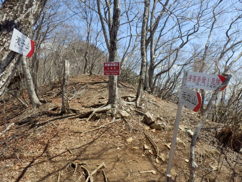 寂惝尾根と出合う