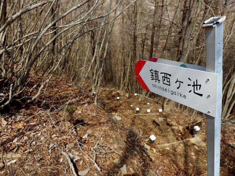 曲り沢峠に向かう